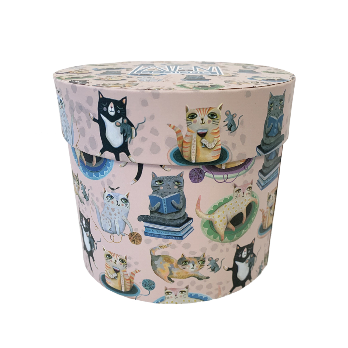 Mug Chats Allen Desings - Crasy Cat